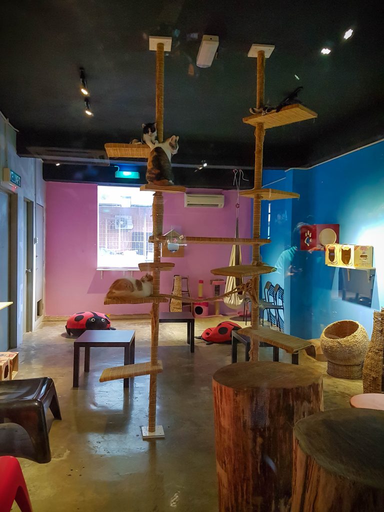 Cat Cafe Malaysia