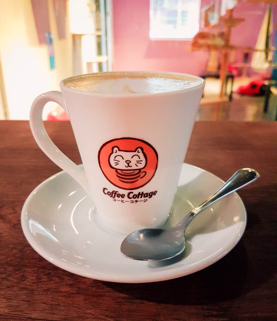 Cat Cup