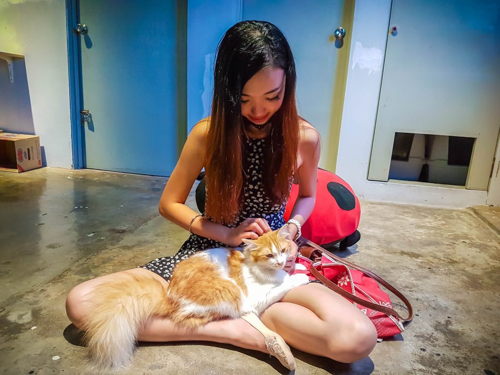 Cat Cafe Malaysia